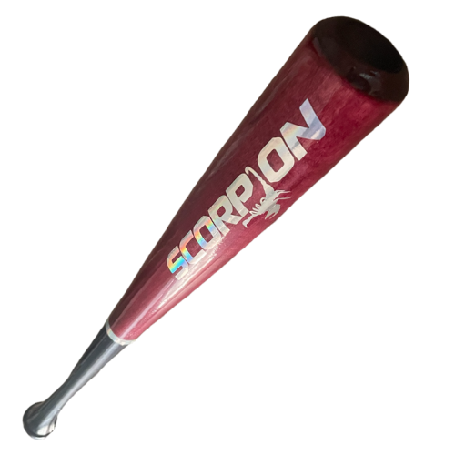 Scorpion Youth Baseball Bat