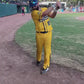 ZG-26 Baseball Bat